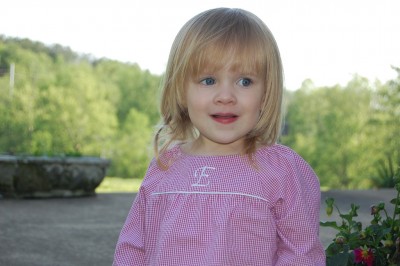 class picnic gingham