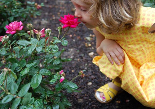 Oliver + S summer fun